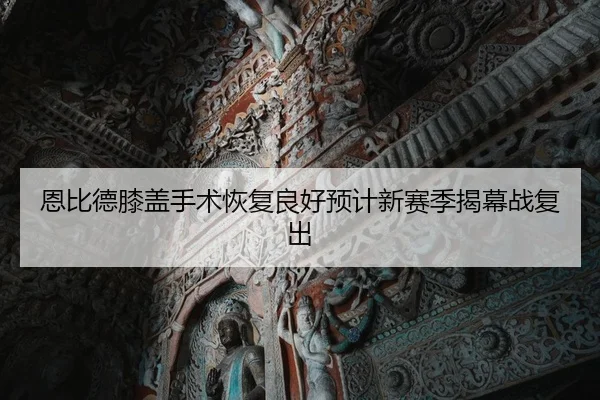 en-bi-de-xi-gai-shou-shu-hui-fu-liang-hao-yu-ji-xin-sai-ji-jie-mu-zhan-fu-chu-2-594.jpg