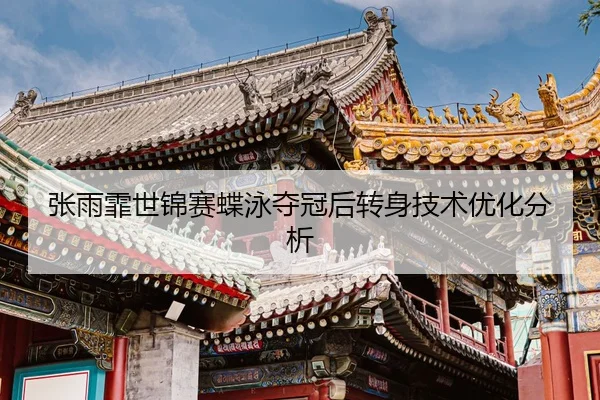 zhang-yu-fei-shi-jin-sai-die-yong-duo-guan-hou-zhuan-shen-ji-shu-you-hua-fen-xi-2-391.jpg